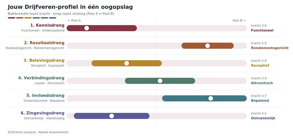 Fragment uit het Drijfverenrapport: je profiel in één oogopslag