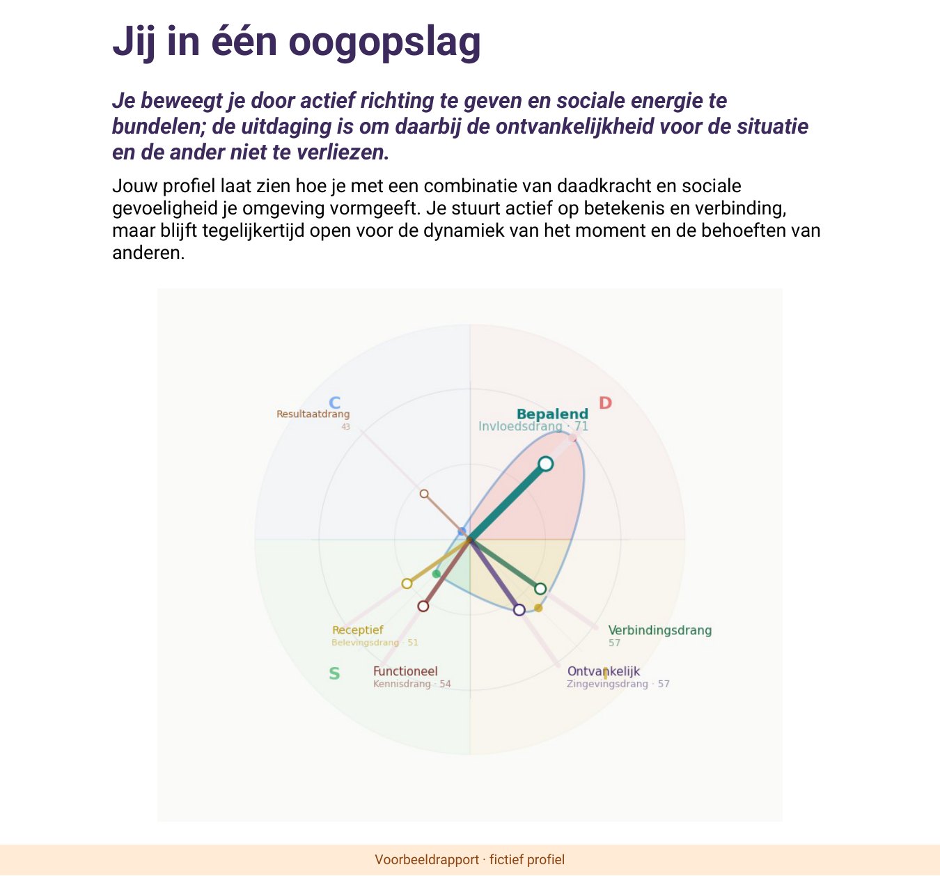 Pagina uit het voorbeeld van het combinatierapport: DISC-stijl en drijfveren in één figuur