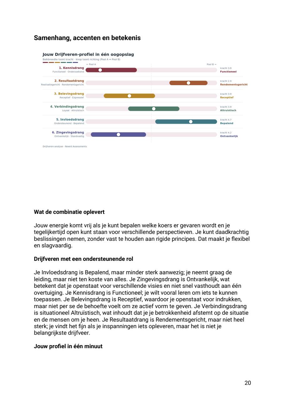 Pagina uit het Drijfveren-voorbeeldrapport: samenhang en accenten in je drijfveren